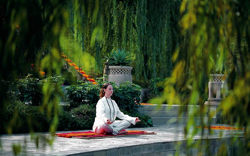 Ananda in the Himalayas