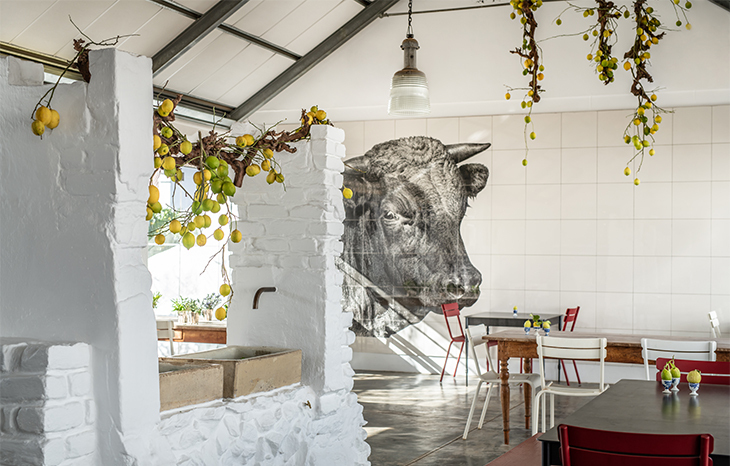 Babylonstoren Garden Spa
