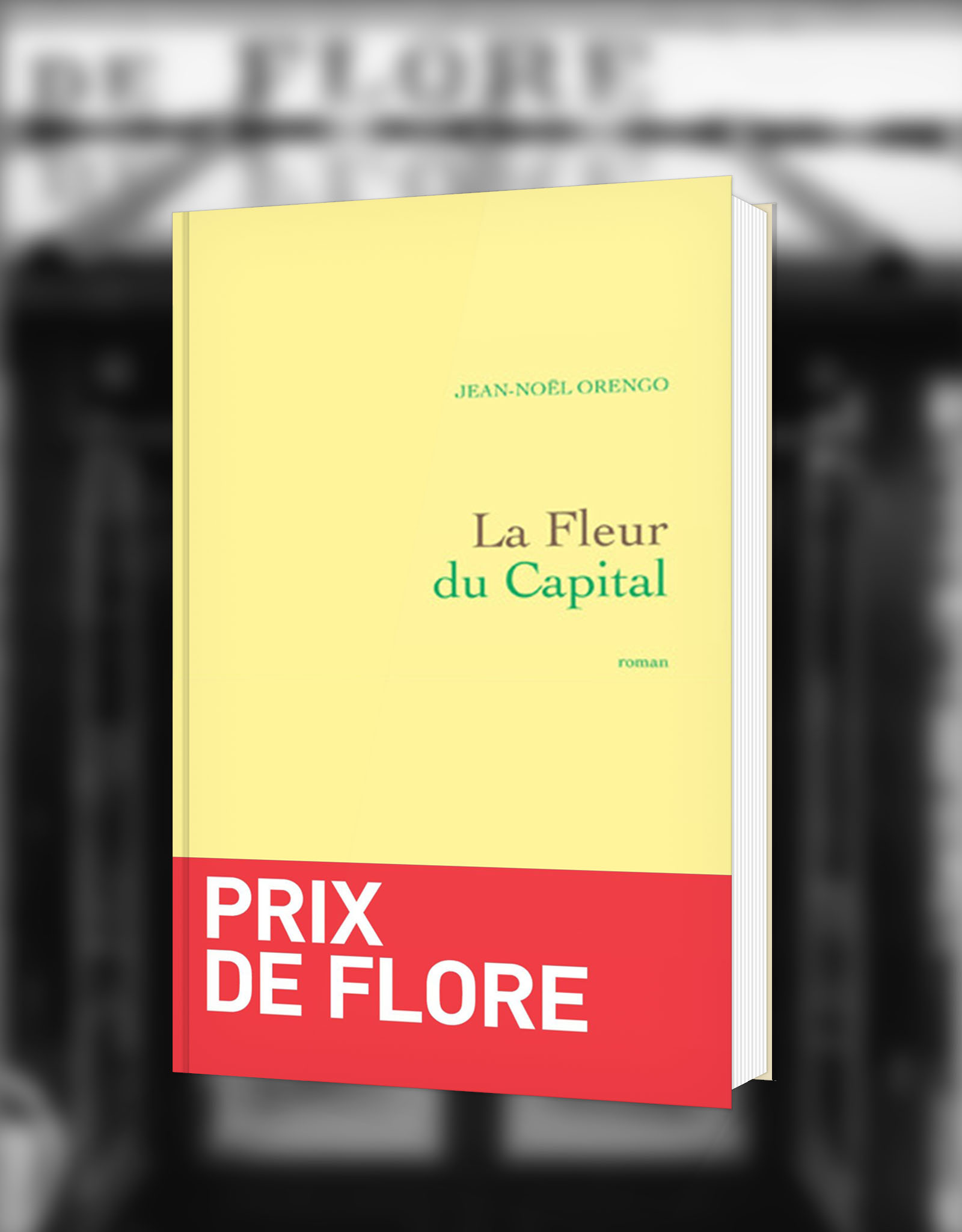 Café de Flore, Paris