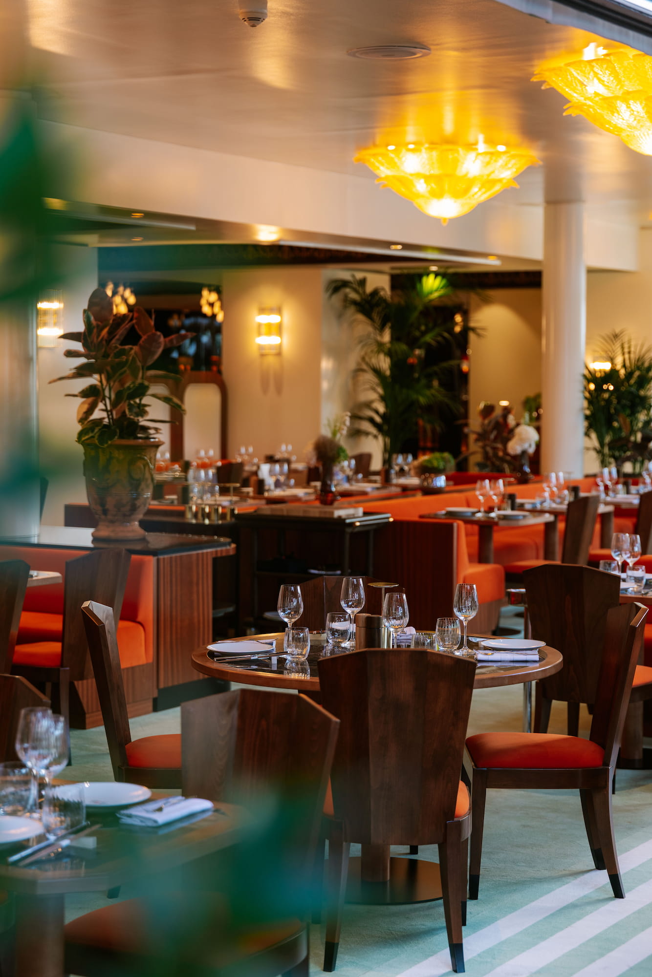 Ciro's Cannes, Cannes