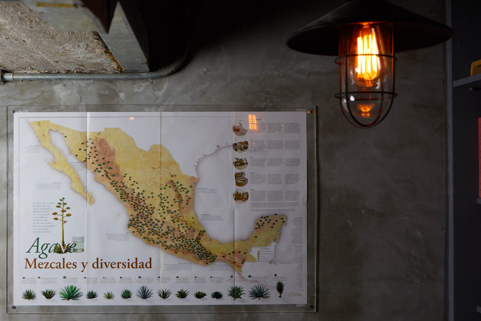 COA, Hong Kong