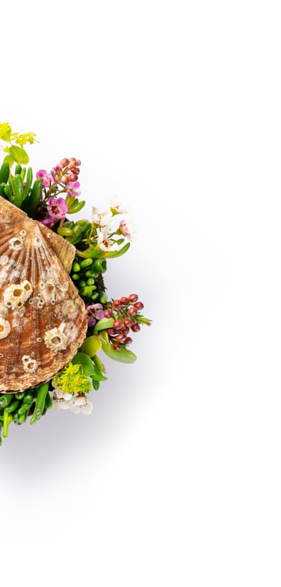 Core by Clare Smyth, London