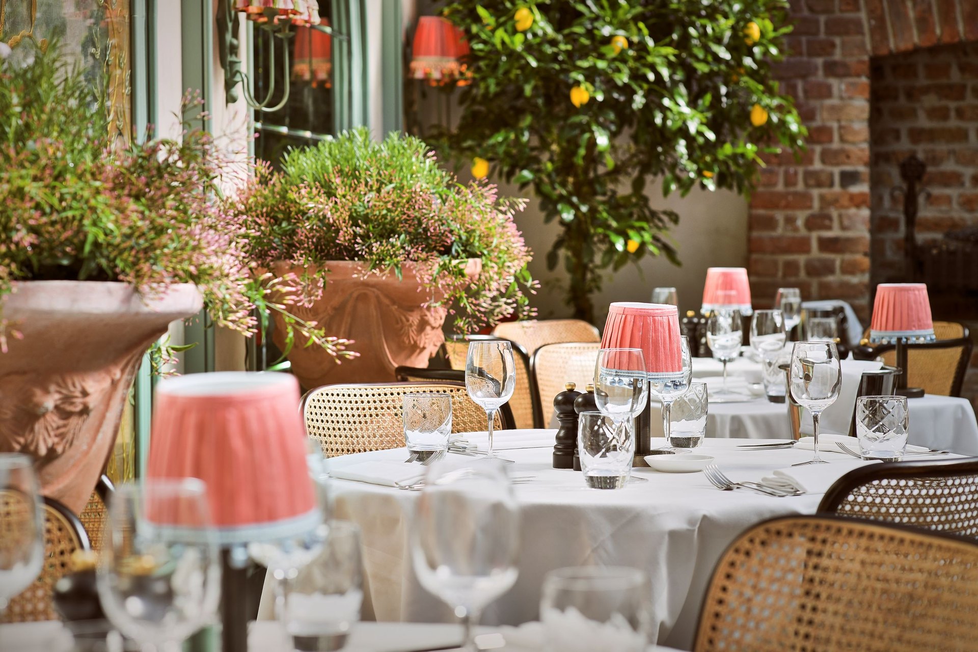 Daphne's, London
