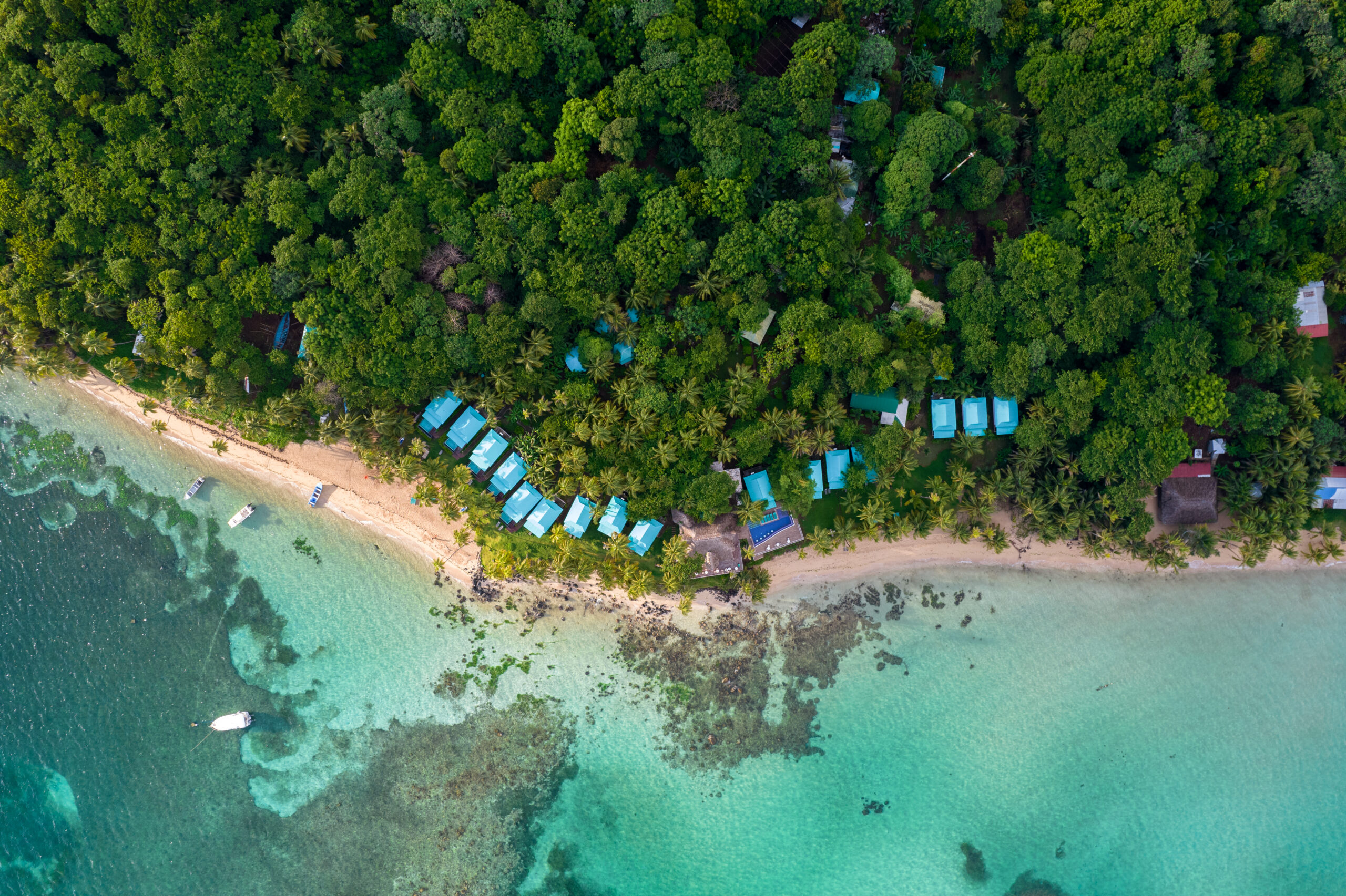 La Zebra, Tulum