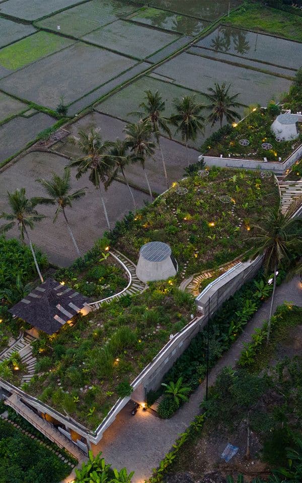 Locavore NXT, Bali