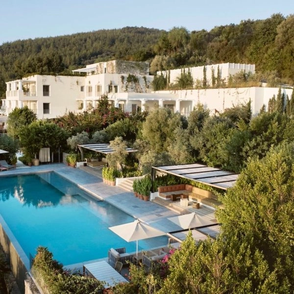 Maçakızı, Bodrum