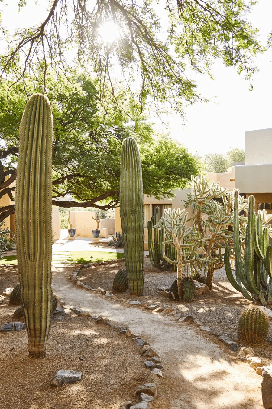 Miraval Arizona