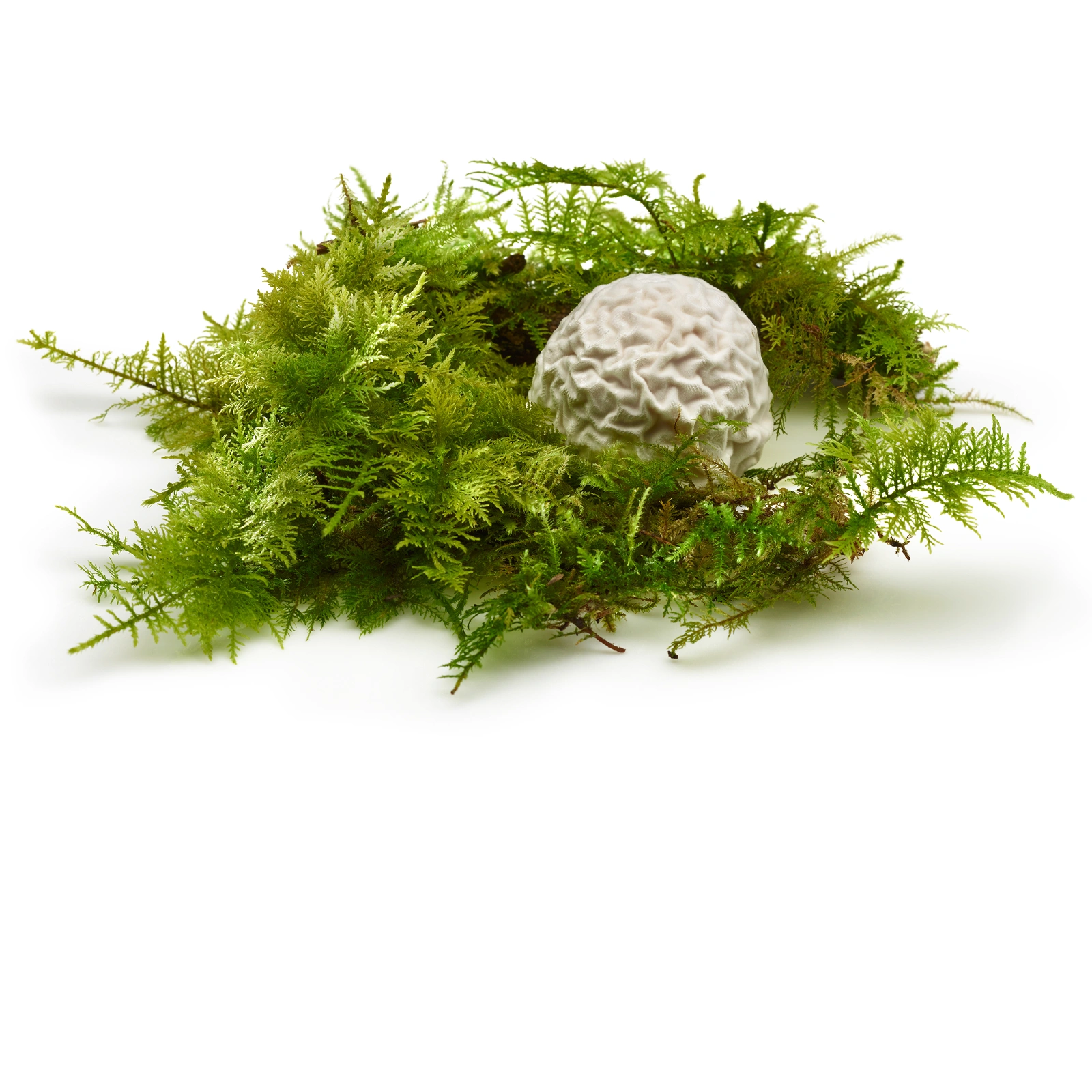 Mugaritz