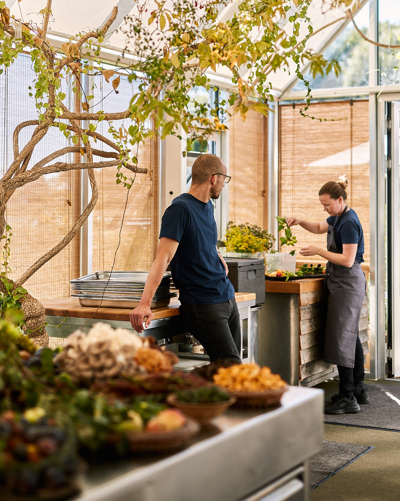 Noma, Copenhagen