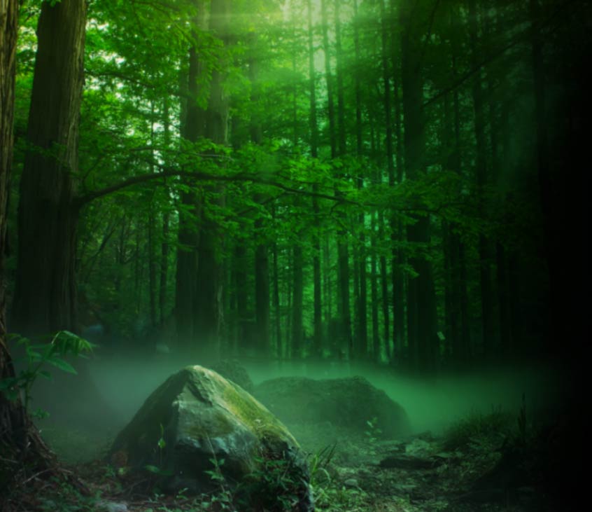 Paradiso, Barcelona