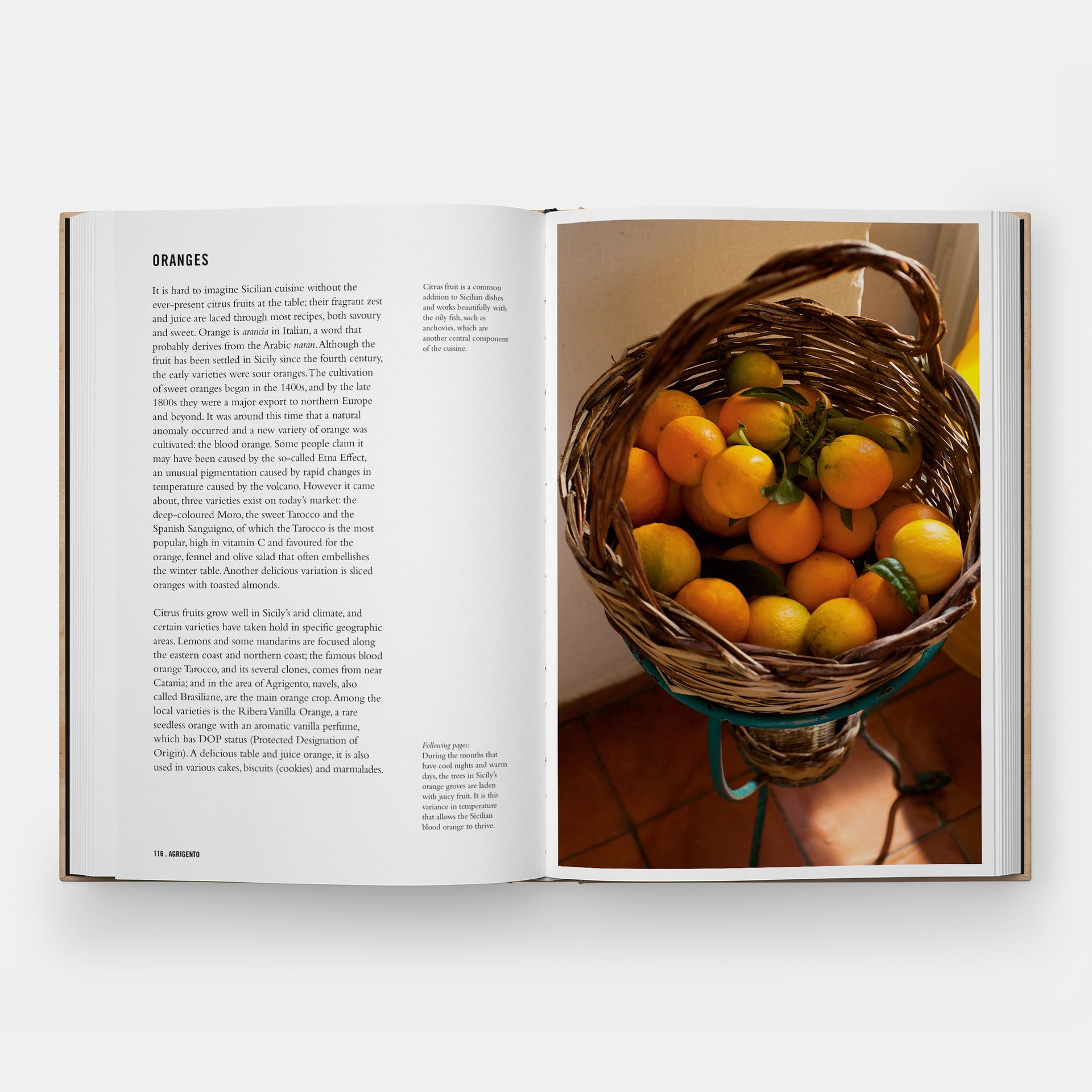 Phaidon, London