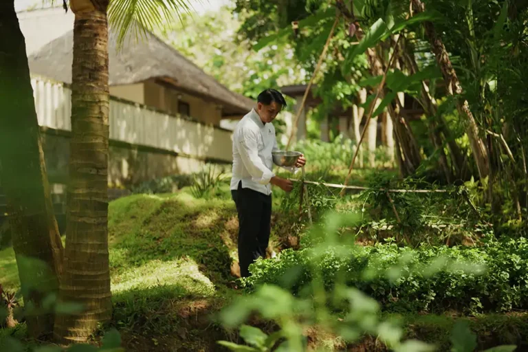 REVĪVŌ Wellness Resort Bali, Bali