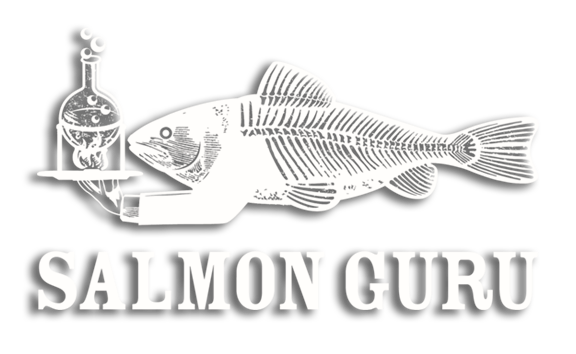 Salmon Guru, Madrid