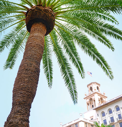 The Breakers Palm Beach