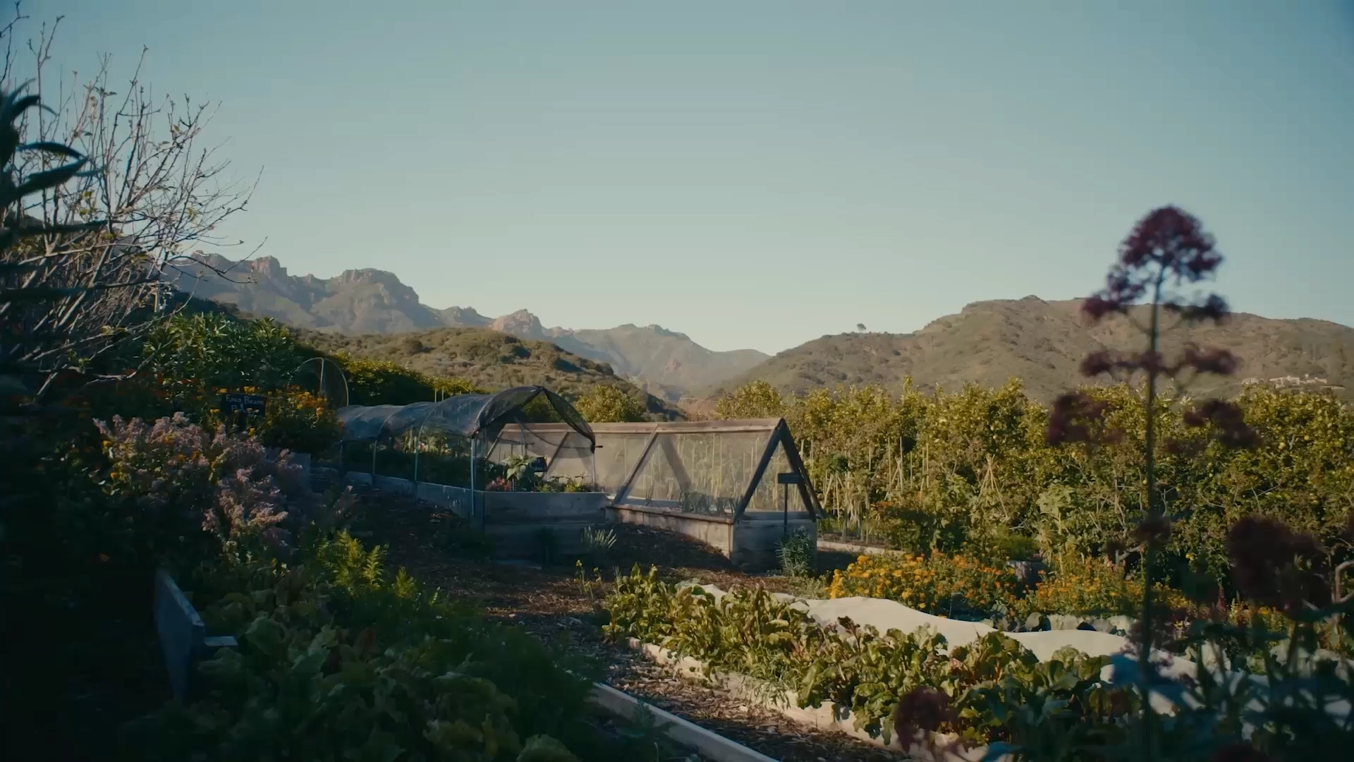 The Ranch Malibu